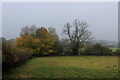 Corner of the Field South of Providence Hill Farm