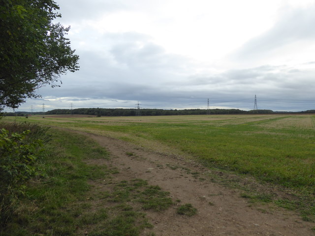 Field on the edge of Helpston