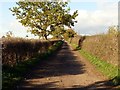 The lane to Coneygrey Farm