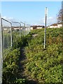 Footpath near Acorn Avenue, Giltbrook