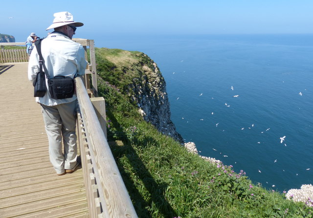 can you take dogs to bempton cliffs