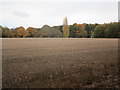 Stubble field and Long Belt