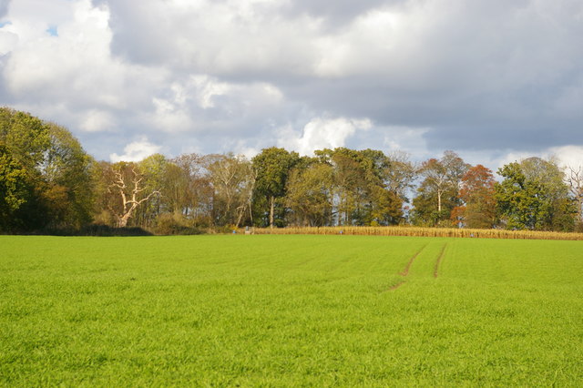 Field north of A12, Stratford St Andrew
