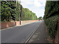 Hedge-lined part of High Street, Pewsey