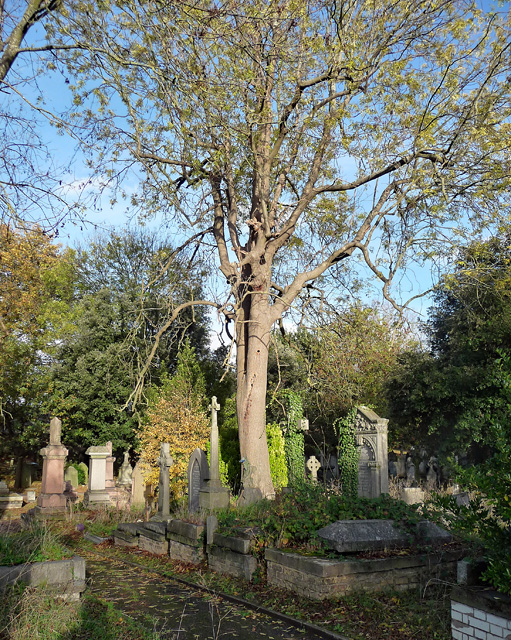 Various monuments, West Norwood Cemetery (64)