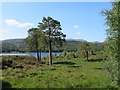 NH2023 : Beside Loch Beinn a' Mheadhoin by Richard Webb
