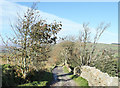 Rough lane descending towards Swinhopeburn