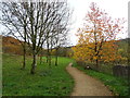 Path, Cowbury Green, Carrbrook