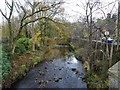 River Tame, Uppermill