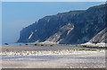 TA1575 : Speeton Cliffs at Filey Bay by Mat Fascione
