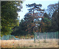 Abandoned Tennis Courts