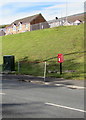 Queen Elizabeth II postbox and a telecoms cabinet, Blackmill Road, Lewistown