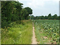 Footpath 108 from Oak Street to the A12