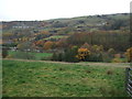 Grazing off Manchester Road (A62)