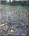 Giat fochyn ger Plas Farm / Kissing gate near Plas Farm