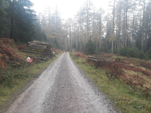 Log piles beside the track, Blengdale... © Graham Robson cc-by-sa/2.0 ...