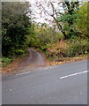 Bridleway on the west side of the B4520, Brecon