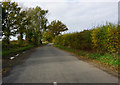 High Noon Road towards Erpingham