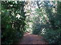 Public footpath off Church Road