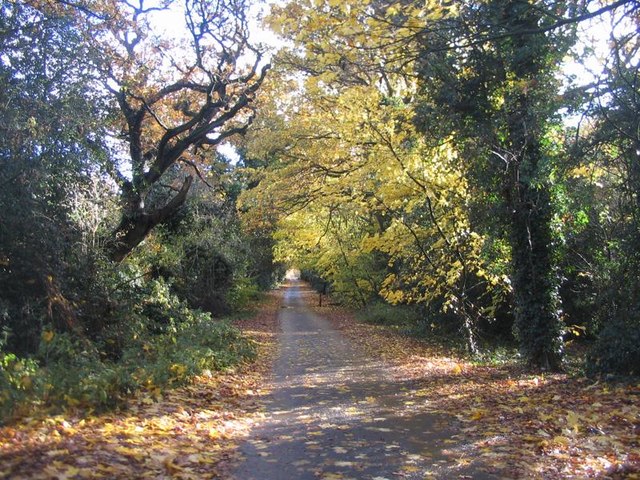 The lane from Canley Ford, Stivichall Common