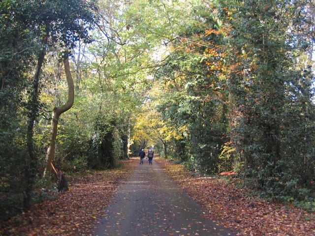 The lane to Canley Ford, Stivichall Common