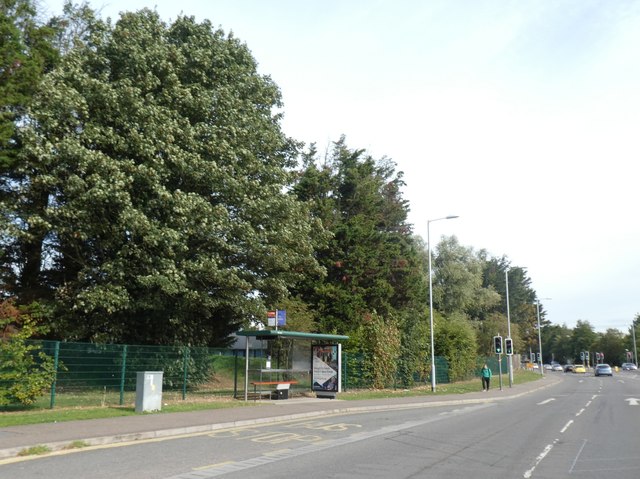 Bus shelter, Milton Road, Cambridge