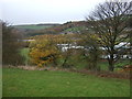 Grazing, Colne Valley