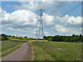 Power line across Pages Wood