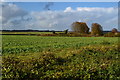 View across fields near Sunnyside Farm