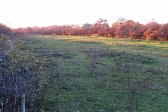 Pasture nestling by the A45