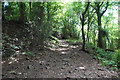 SO5400 : Offa's Dyke Path by Bill Boaden