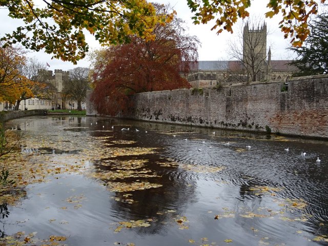 Moat and wall of Wells Bishop's Palace