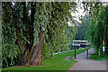 Riverside footpath near Birstall Lock, Leicestershire