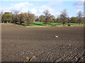 Farmland near Craigton