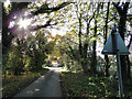 TL9992 : Sunshine filtering through the trees, Bradcar Road, Shropham by Adrian S Pye