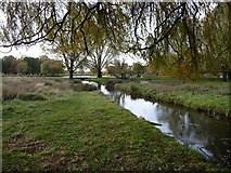 TQ1669 : Outflow from Leg of Mutton Pond, Bushy Park by Christine Johnstone