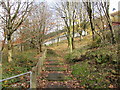 Steps up to Sunnyside, Ogmore Vale