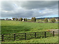 Grazing land at the junction of the Ballymacdermot Road and the B113