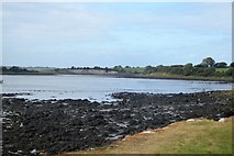M2808 : Inlet from Galway Bay by N Chadwick