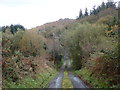 Glendesha Forest 