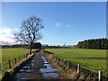 Track to Langside Farm