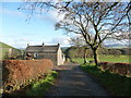 Approaching Langside Farm from the west