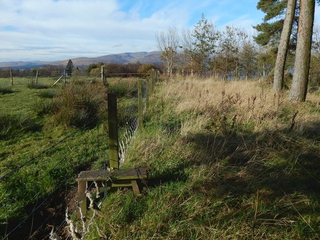 A stile at the edge of the woods