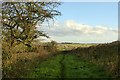 Bridleway near Brinsley