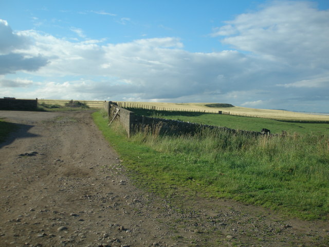 Farm track at Mains of Usan