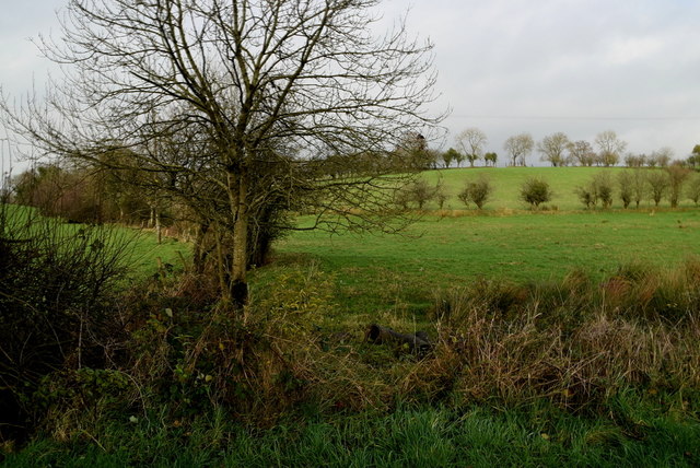 Hidden Stream, Lisnagirr   Tully © Kenneth Allen :: Geograph Ireland