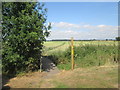 Footpath  from  Seaton  Ross  through  corn  field