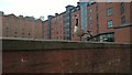 Goose on Bridge 1 of the Ashton Canal, Jutland Street, Manchester