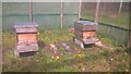 Bee hives at Jodrell Bank Arboretum