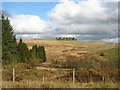 Across the Polharrow Burn